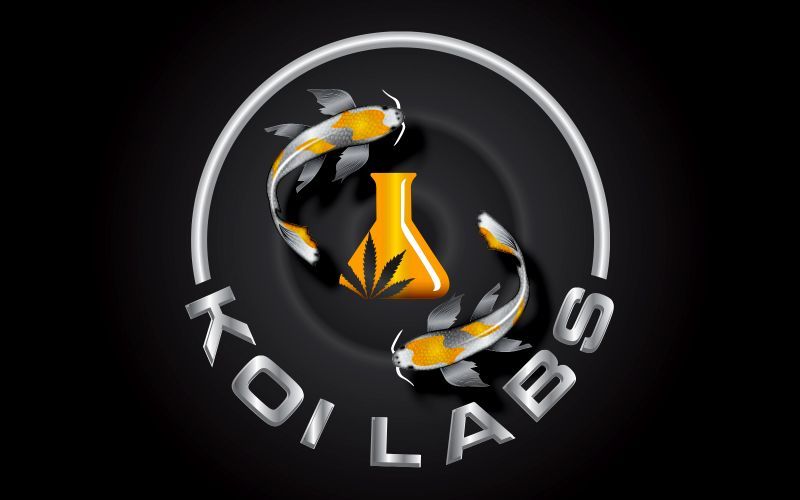 Koilabs 3D Logo Design